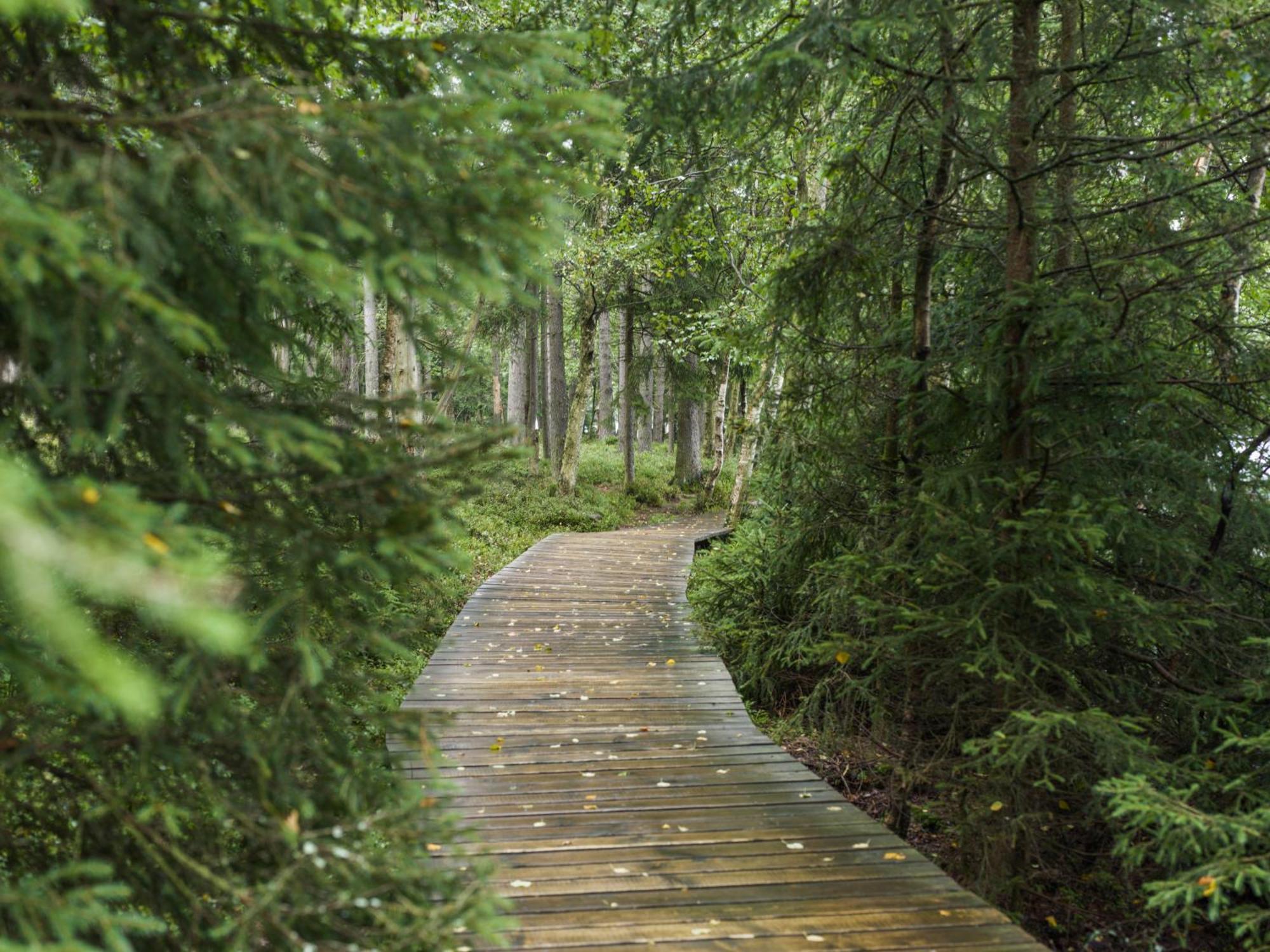Falkensteiner Spa Resort Marianske Lazne Exterior photo The boardwalk at the end of the trail